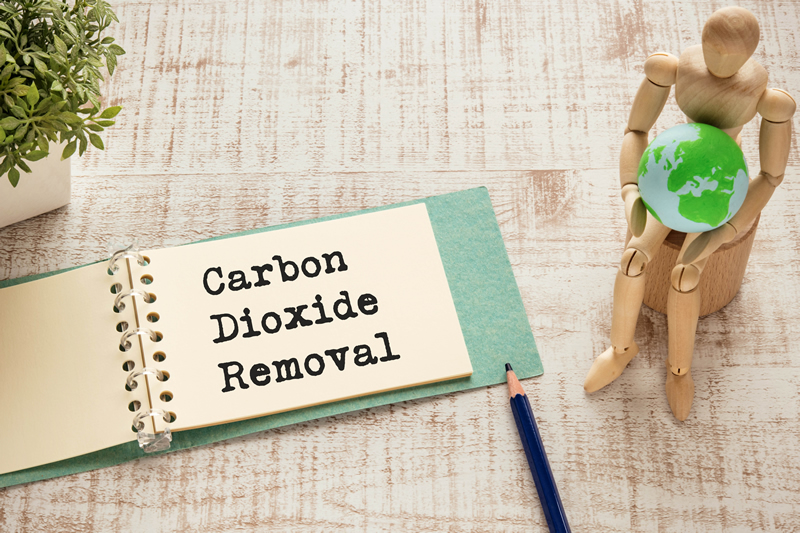 Scaling Up Carbon Dioxide Removals In The EU Scaling Up Carbon Dioxide Removals In The EU